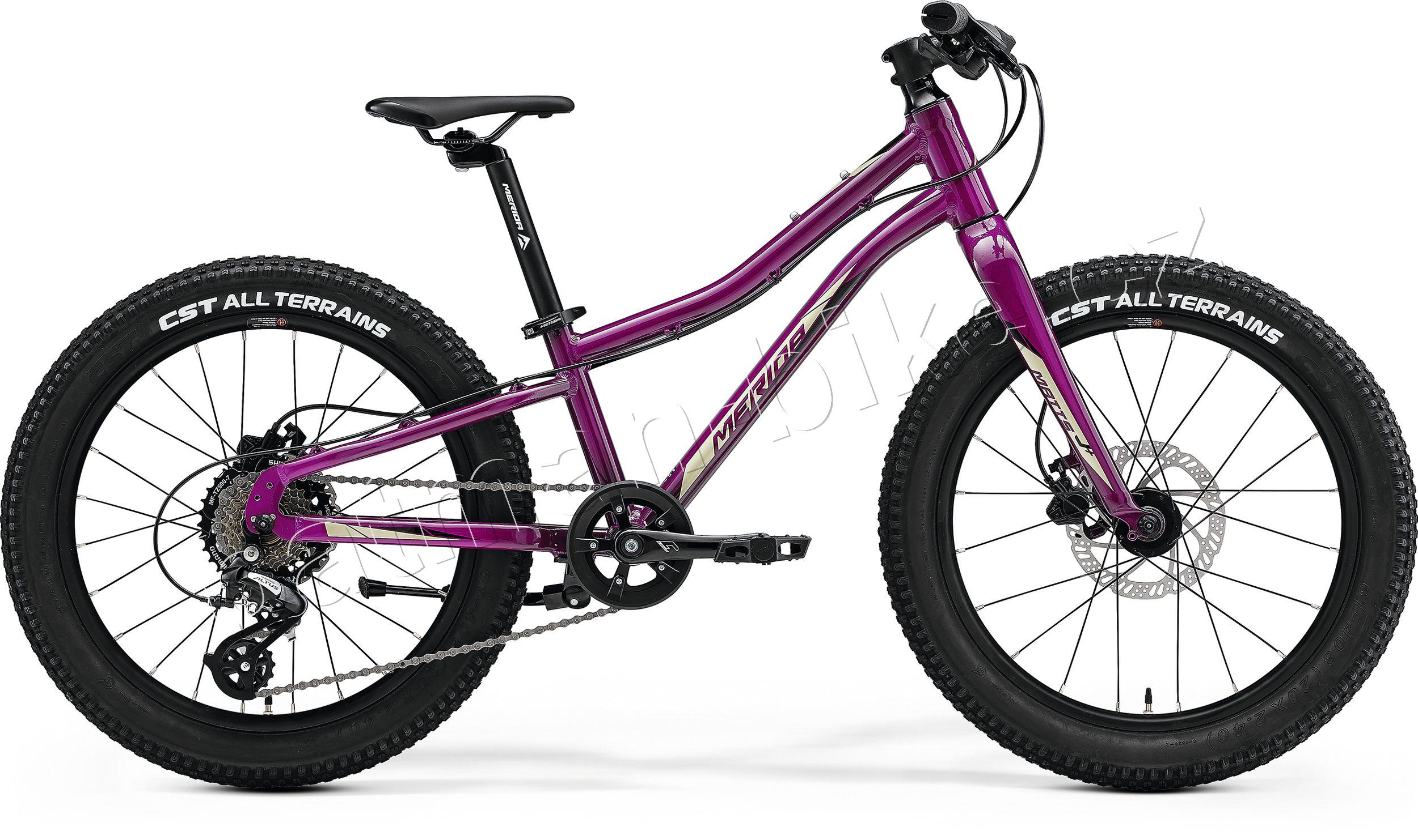 MERIDA MATTS J.20+ Purple(Black/Champagne) UNI(10)