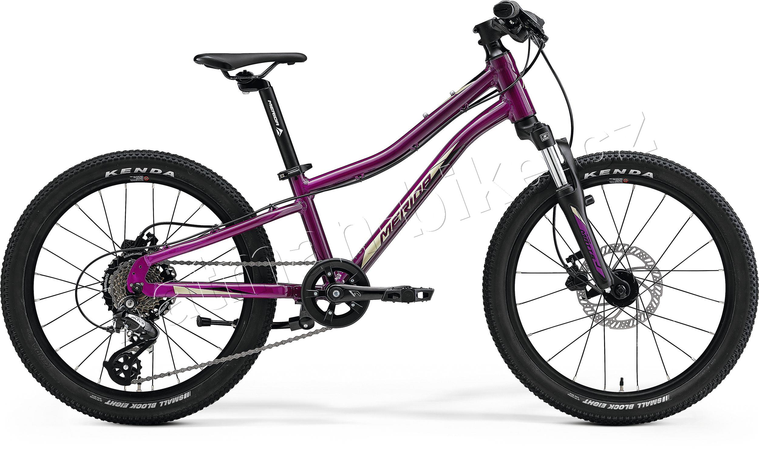 MERIDA MATTS J.20 Purple(Black/Champagne) UNI(10)